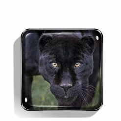 Makeup Sales Store -Makeup Sales Store 656509042418 alt1