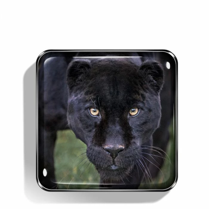 Discount π Chantecaille The Black Jaguar Eye Quartet π 4 Discount π Chantecaille The Black Jaguar Eye Quartet π - Image 2