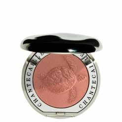 Cheapest 🤩 Chantecaille Cheek Shade 🎁